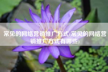 常见的网络营销推广方式(常见的网络营销推广方式有哪些)