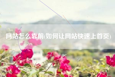 网站怎么靠前(如何让网站快速上首页)