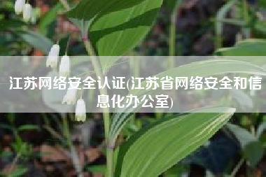 江苏网络安全认证(江苏省网络安全和信息化办公室)