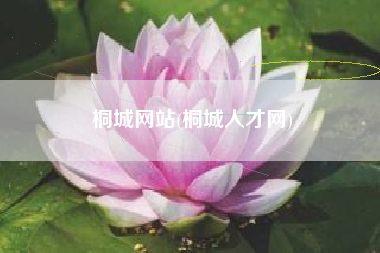 桐城网站(桐城人才网)