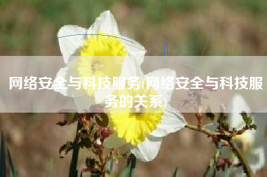 网络安全与科技服务(网络安全与科技服务的关系)