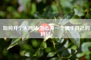 如何开个人网站(怎么开一个属于自己的网站)
