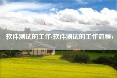 软件测试的工作(软件测试的工作流程)