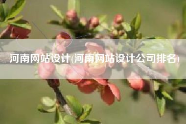 河南网站设计(河南网站设计公司排名)