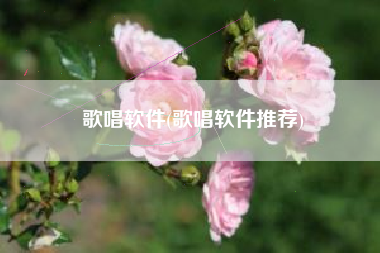 歌唱软件(歌唱软件推荐)
