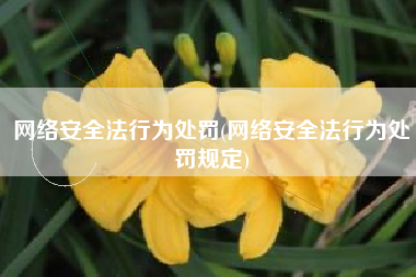 网络安全法行为处罚(网络安全法行为处罚规定)