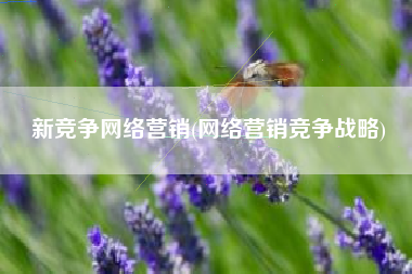 新竞争网络营销(网络营销竞争战略)