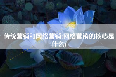 传统营销和网络营销(网络营销的核心是什么)