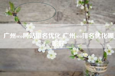 广州seo网站排名优化 广州seo排名优化哪家好