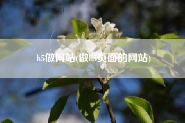 h5做网站(做h5页面的网站)