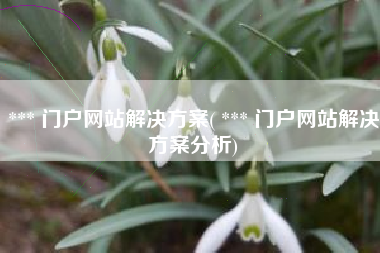 *** 门户网站解决方案( *** 门户网站解决方案分析)