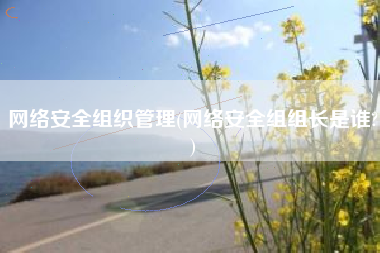 网络安全组织管理(网络安全组组长是谁?)