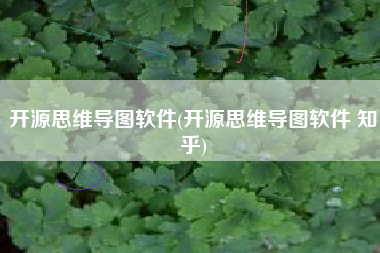 开源思维导图软件(开源思维导图软件 知乎)