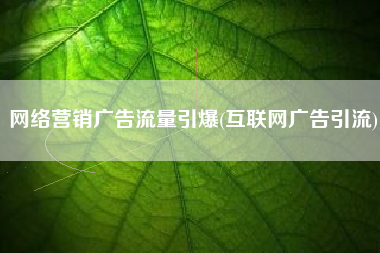 网络营销广告流量引爆(互联网广告引流)