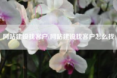 网站建设找客户(网站建设找客户怎么找)