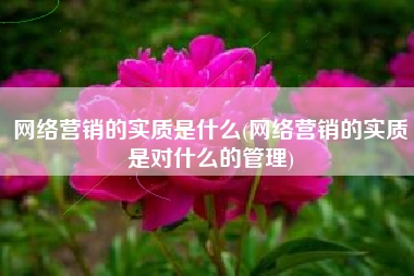 网络营销的实质是什么(网络营销的实质是对什么的管理)