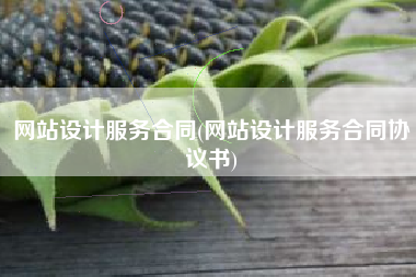 网站设计服务合同(网站设计服务合同协议书)