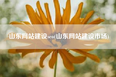 山东网站建设seo(山东网站建设市场)