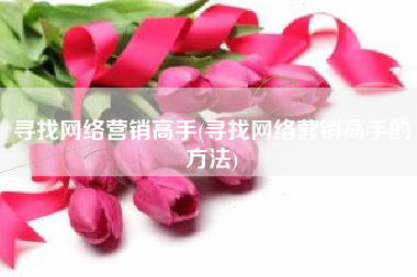 寻找网络营销高手(寻找网络营销高手的方法)