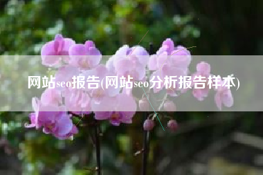 网站seo报告(网站seo分析报告样本)