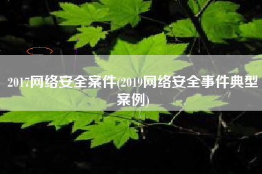 2017网络安全案件(2019网络安全事件典型案例)