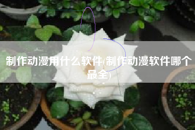 制作动漫用什么软件(制作动漫软件哪个最全)