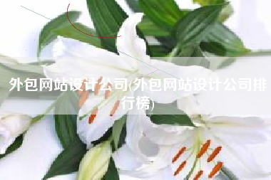 外包网站设计公司(外包网站设计公司排行榜)