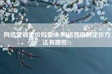 网络营销定价的重点(网络营销的定价方法有哪些?)