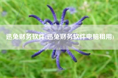 迅兔财务软件(迅兔财务软件电脑租用)