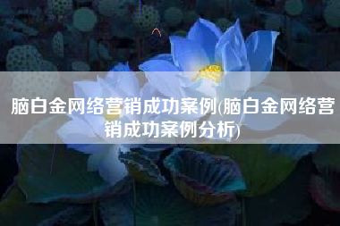 脑白金网络营销成功案例(脑白金网络营销成功案例分析)