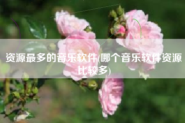 资源最多的音乐软件(哪个音乐软件资源比较多)