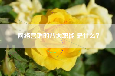 网络营销的八大职能 是什么？