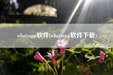 whatsapp软件(whatsapp软件下载)