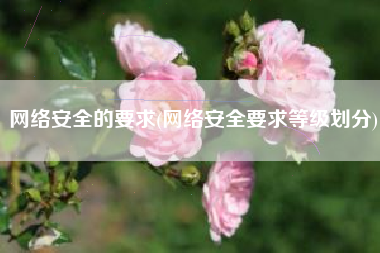 网络安全的要求(网络安全要求等级划分)