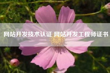 网站开发技术认证 网站开发工程师证书