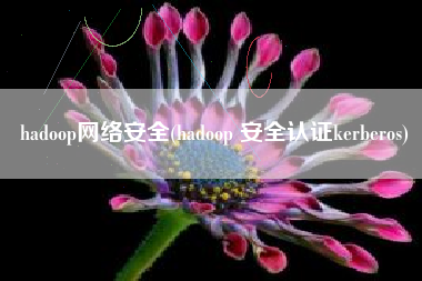 hadoop网络安全(hadoop 安全认证kerberos)