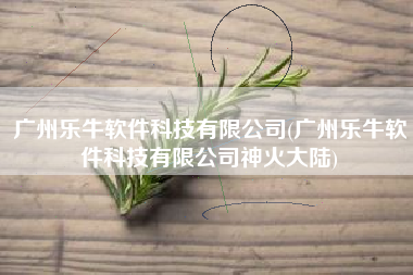 广州乐牛软件科技有限公司(广州乐牛软件科技有限公司神火大陆)