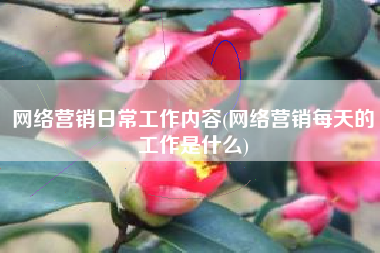 网络营销日常工作内容(网络营销每天的工作是什么)