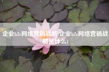 企业b2c网络营销战略(企业b2c网络营销战略是什么)