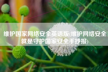 维护国家网络安全英语版(维护网络安全就是守护国家安全手抄报)