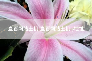 查看网站主机(查看网站主机ip地址)