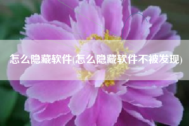 怎么隐藏软件(怎么隐藏软件不被发现)