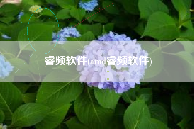 睿频软件(amd睿频软件)