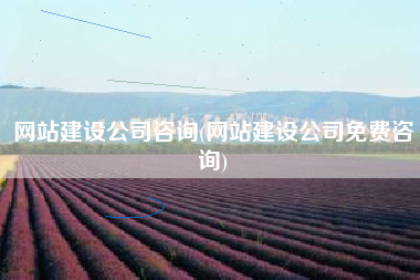 网站建设公司咨询(网站建设公司免费咨询)