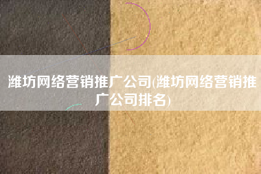 潍坊网络营销推广公司(潍坊网络营销推广公司排名)