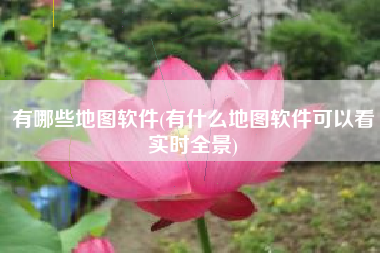 有哪些地图软件(有什么地图软件可以看实时全景)