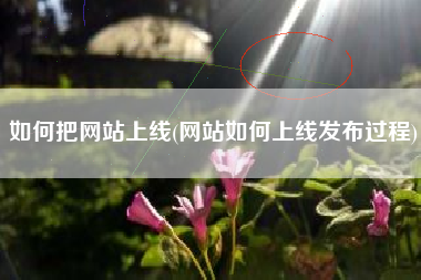 如何把网站上线(网站如何上线发布过程)