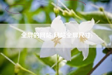全屏的网站(网站全屏尺寸)