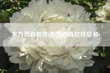 东方仿真软件(东方仿真软件安装)