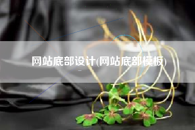 网站底部设计(网站底部模板)